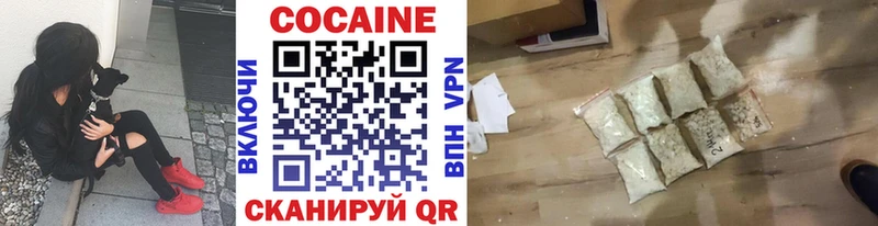 COCAIN Fish Scale  MEGA ССЫЛКА  Ставрополь 