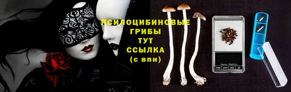 метадон Гусев