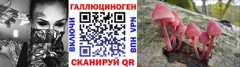 Псилоцибиновые грибы Magic Shrooms  Ставрополь 
